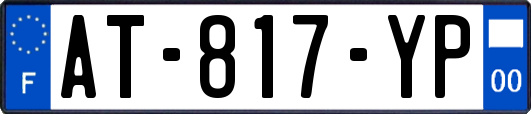 AT-817-YP