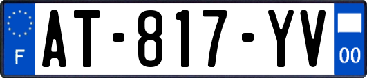 AT-817-YV