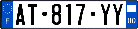 AT-817-YY