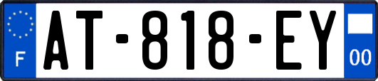 AT-818-EY