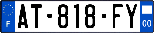 AT-818-FY