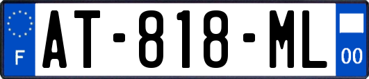 AT-818-ML