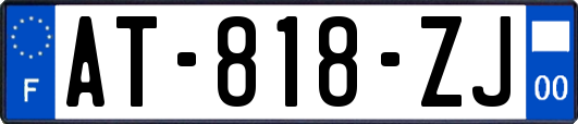 AT-818-ZJ