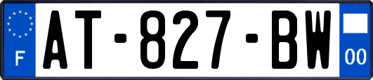 AT-827-BW