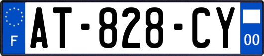 AT-828-CY