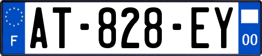 AT-828-EY