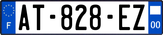AT-828-EZ