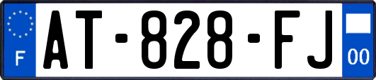 AT-828-FJ