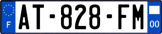 AT-828-FM