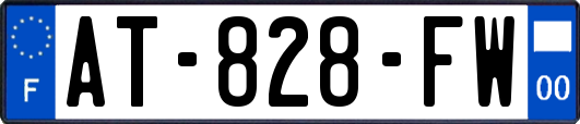 AT-828-FW