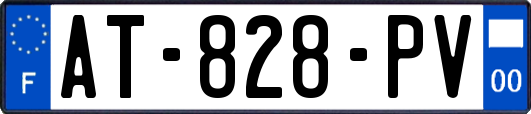 AT-828-PV