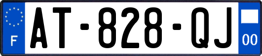 AT-828-QJ