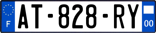 AT-828-RY
