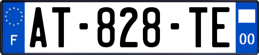 AT-828-TE