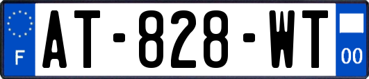 AT-828-WT