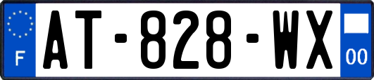 AT-828-WX