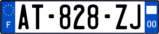 AT-828-ZJ