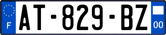 AT-829-BZ