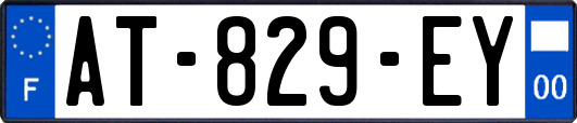 AT-829-EY