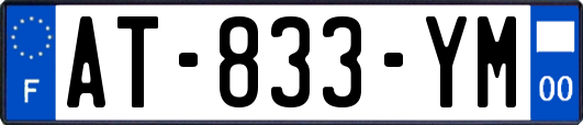 AT-833-YM