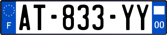 AT-833-YY