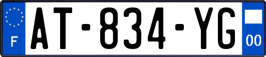 AT-834-YG