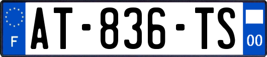 AT-836-TS