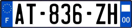 AT-836-ZH