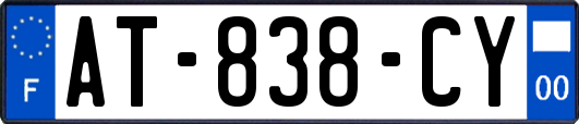 AT-838-CY