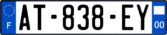 AT-838-EY