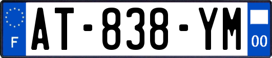 AT-838-YM