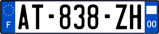 AT-838-ZH