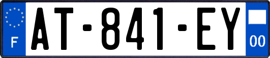 AT-841-EY