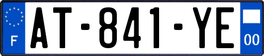 AT-841-YE