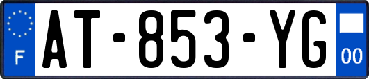 AT-853-YG