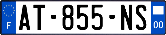 AT-855-NS