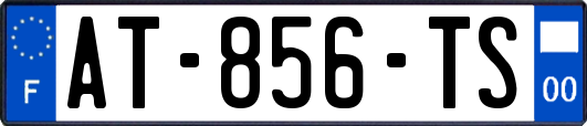 AT-856-TS