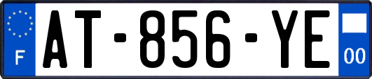AT-856-YE