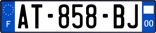 AT-858-BJ