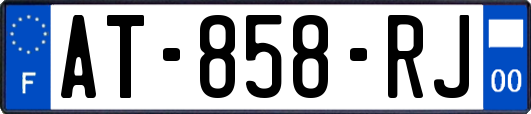 AT-858-RJ