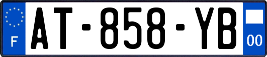 AT-858-YB