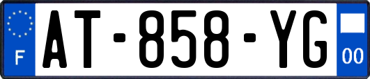 AT-858-YG