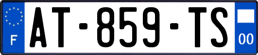 AT-859-TS
