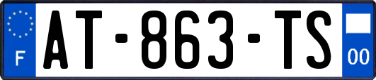 AT-863-TS