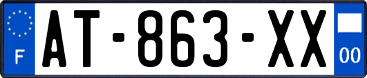 AT-863-XX