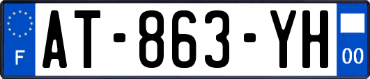 AT-863-YH