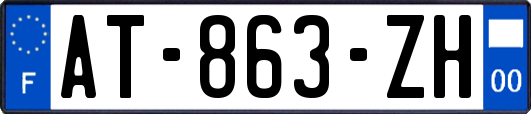 AT-863-ZH