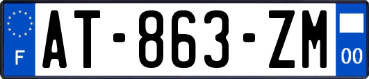AT-863-ZM