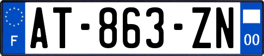 AT-863-ZN