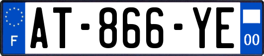 AT-866-YE